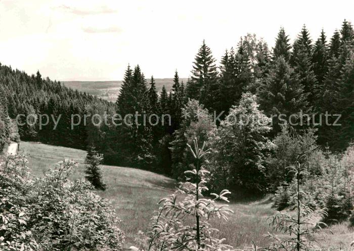 Erlbach Vogtland Musikinstrumenten-Industrie