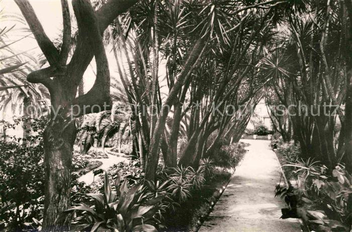 Alger Algerien Hotel St. George Jardin