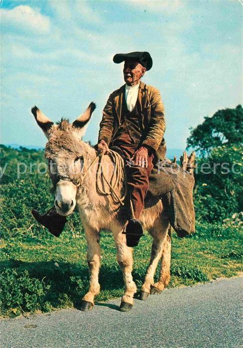 Sardegna Tornando a casa con risparmio di carburante Mann auf Esel