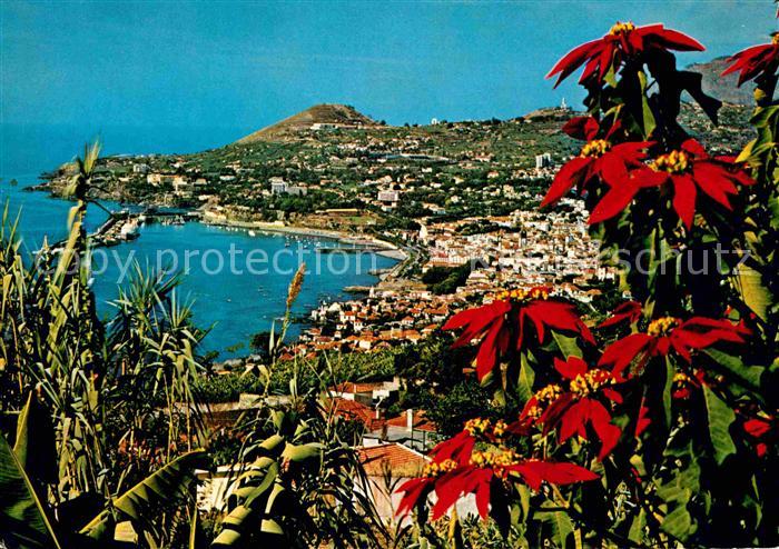 Funchal Vista oeste Panorama Kueste