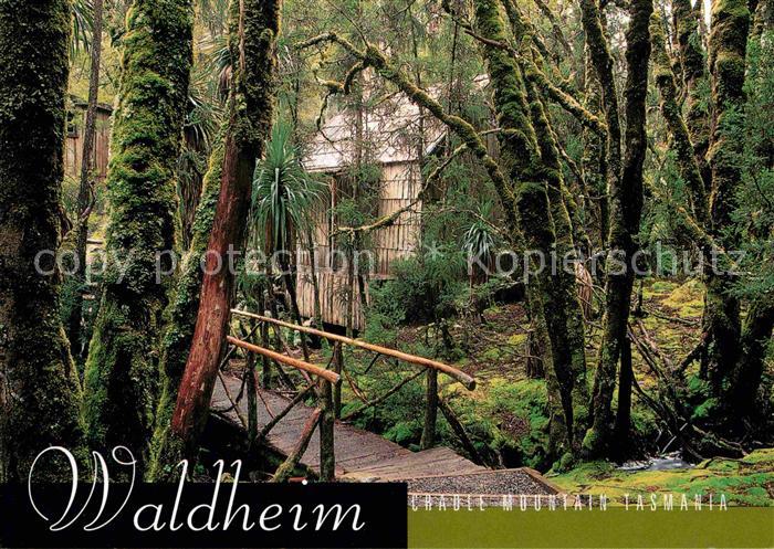 Cradle Mountain Waldheim Chalet Weindorfers Forest Bridge