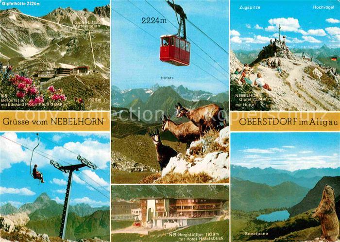 Oberstdorf Bergstation Edmund Probst Haus Nebelhornbahn Gemsen Berghotel Seealps