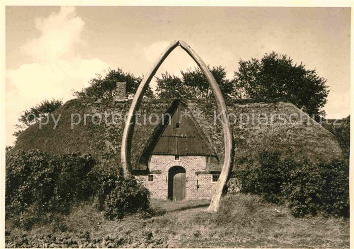 Wyk Foehr Friesenhaus