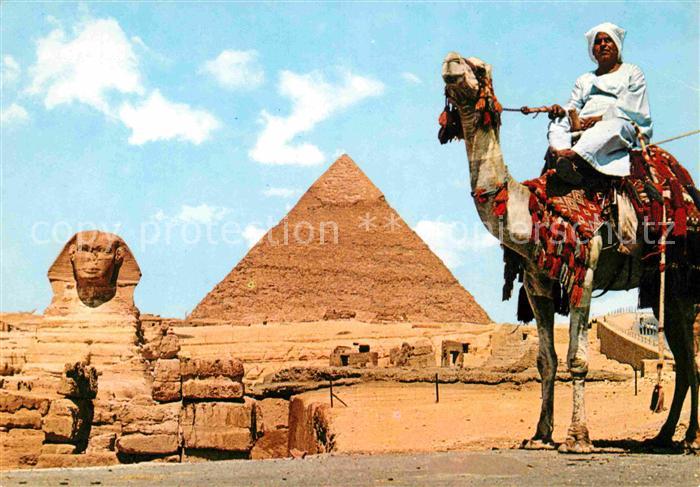 Giza Grosse Sphinx Khephren Pyramide Kamel