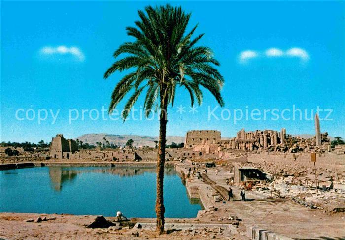 Luxor Louqsor Louksor Holy Lake at Karnak Temple Historische Staette Palme
