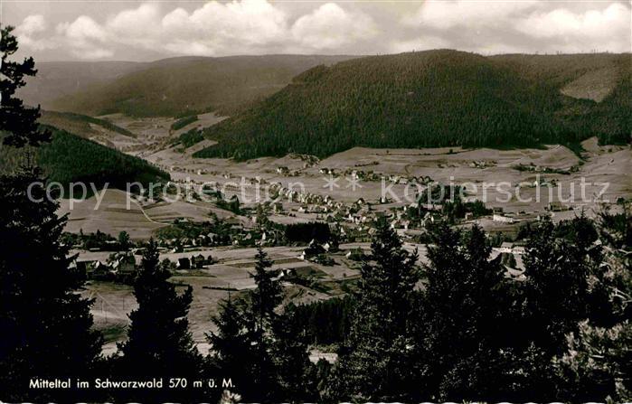 Mitteltal Schwarzwald Panorama