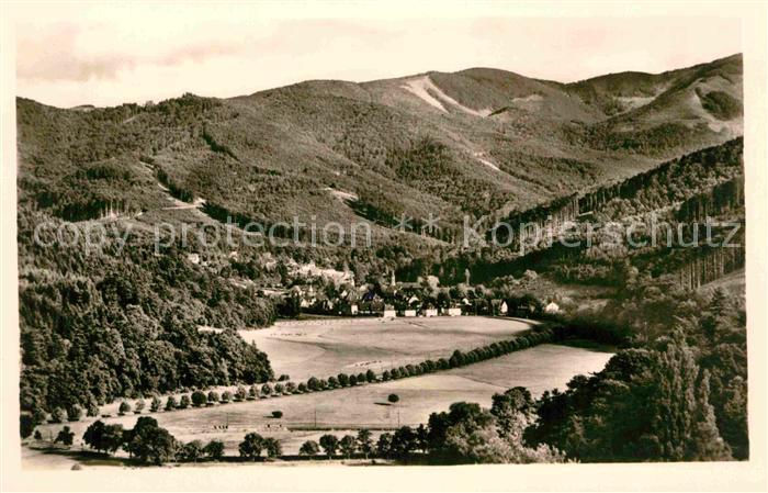Freiburg Breisgau Guenterstal