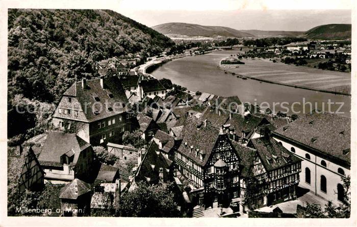 Miltenberg Main Panorama