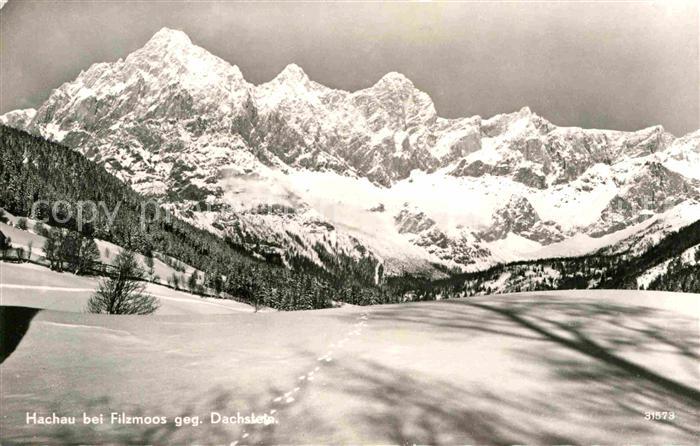 Hachau Dachstein