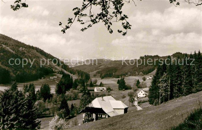 Saig Schwarzwald Haslachtal