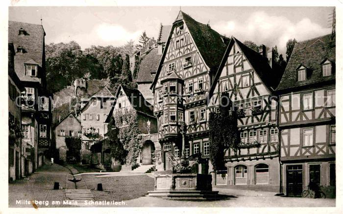 Miltenberg Main Schnatterloch