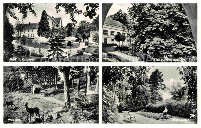 Bad Seebruch Park Kurhaus Wildpark Rosengarten Terrasse