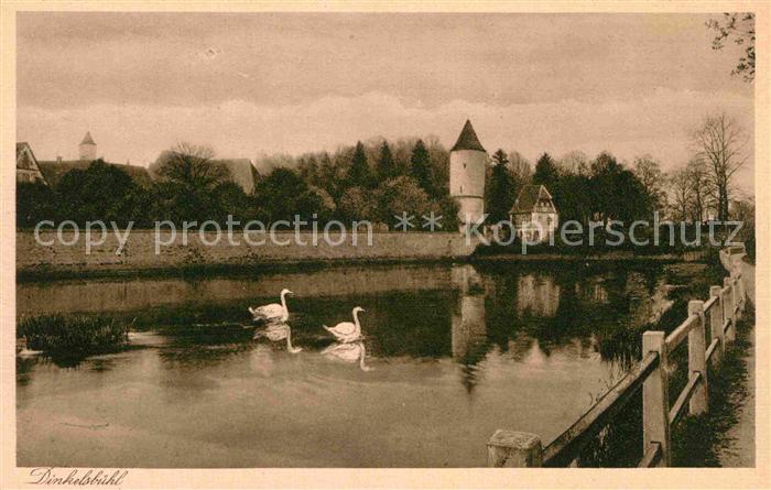 Dinkelsbuehl Rothenburger Weiher