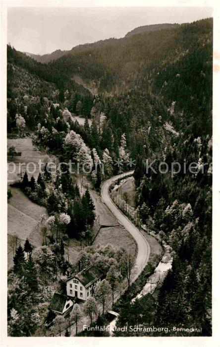 Schramberg Teilansicht