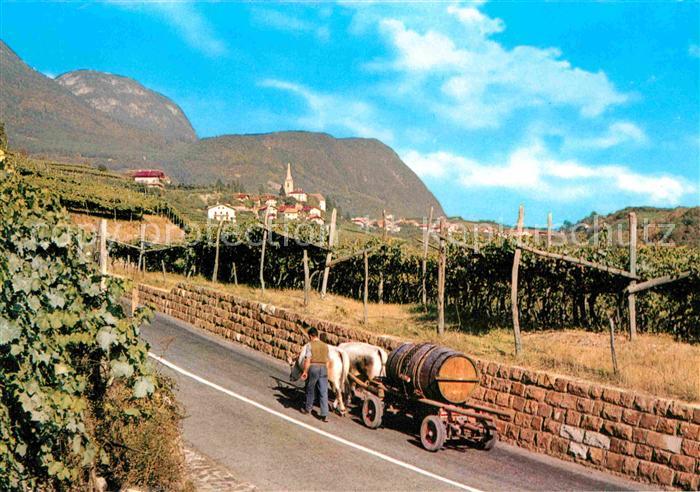 Kaltern Weinstrasse Tirol Weinlese