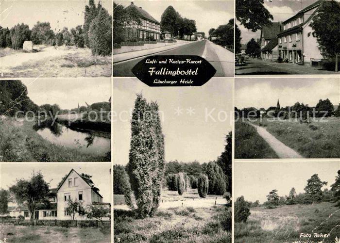 Fallingbostel Heide Panorama