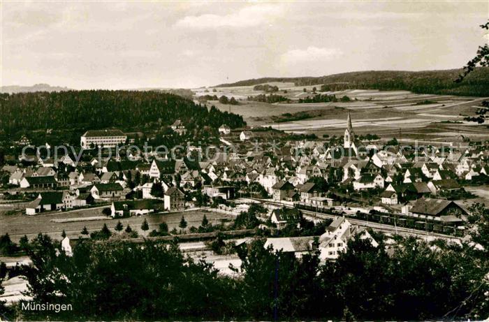 Muensingen Panorama