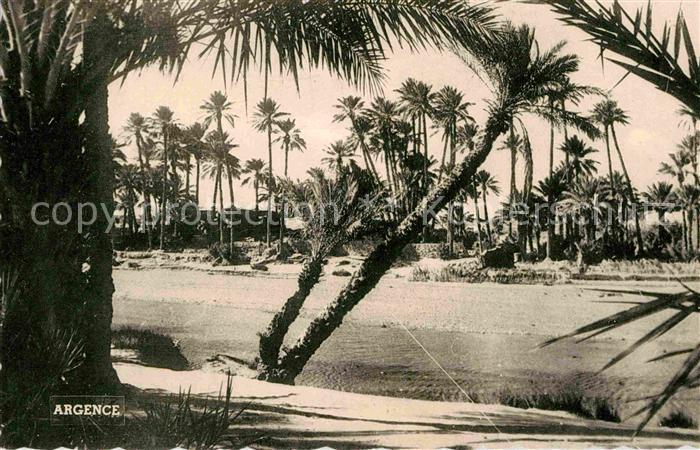 Argences Colomb Beachar La Palmeraie