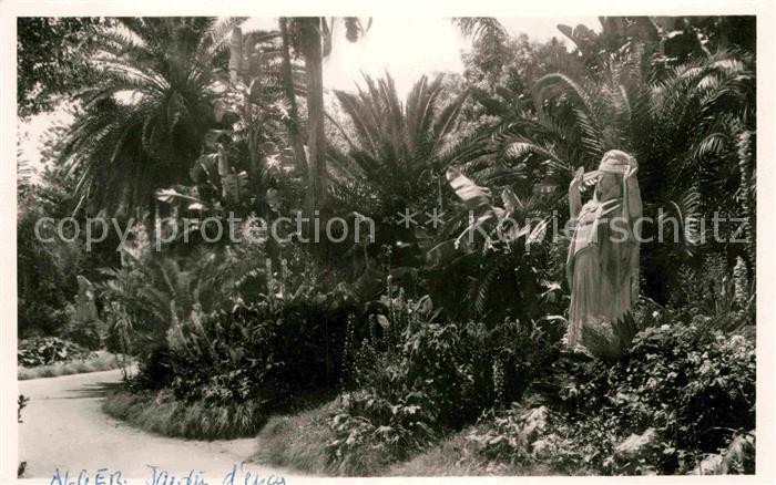 Alger Algerien Uu coin du Jardin d Essai