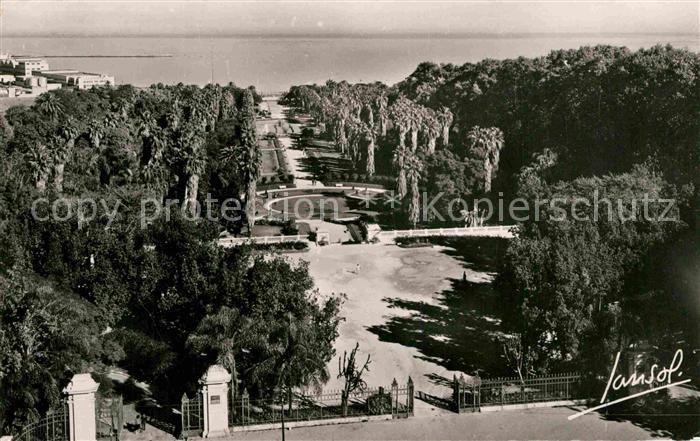 Alger Algerien Le Jardin d_Essais Grande Avenue