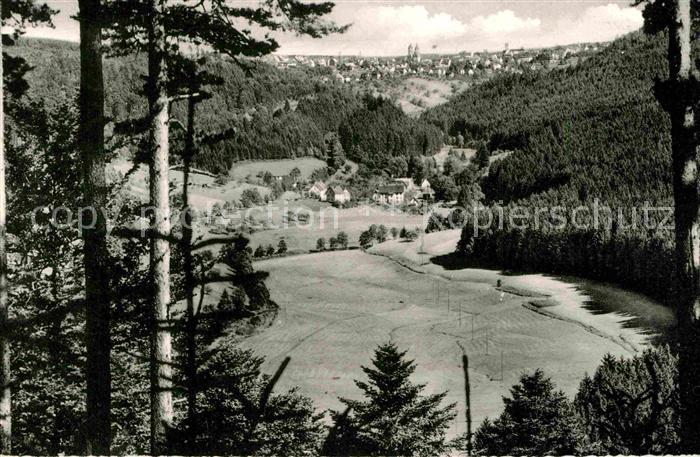 FREUDENSTADT BW Panorama