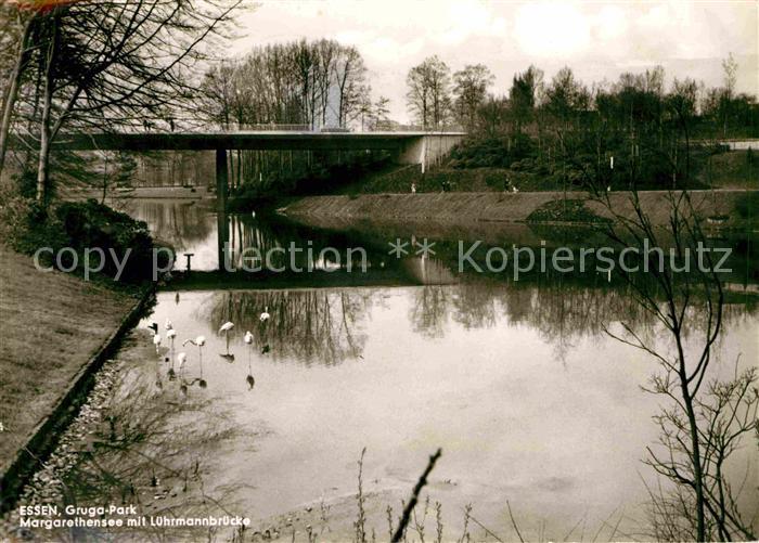 Essen Ruhr Gruga Park Margarethensee mit Luehrmannbruecke