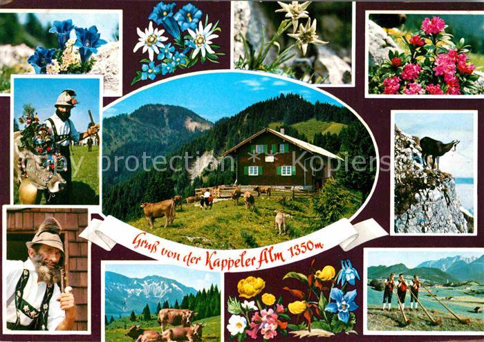 Pfronten Ostallgaeu Bayern Kappeler Alm Alpenflora Senner Steinbock Alphornblaes