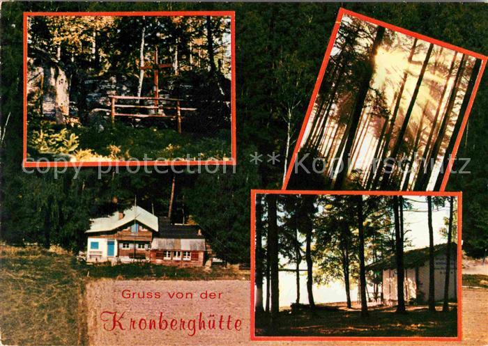 Viechtach Bayerischer Wald Kronberghuette Waldidylle