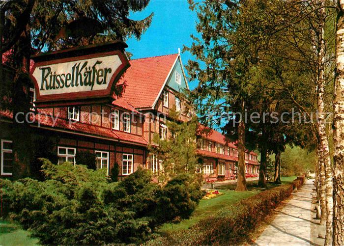 Jesteburg Waldklinik Ruesselkaefer