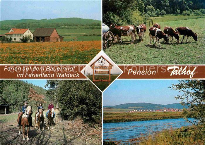 Wellen Waldeck Ferien auf dem Bauernhof Pension Talhof Reiter