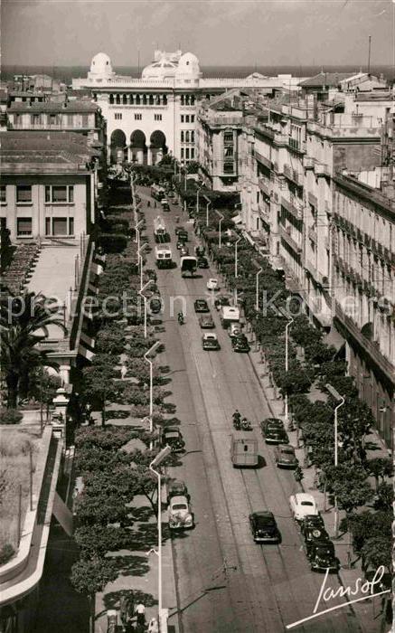 Alger Algerien Rue Michelet