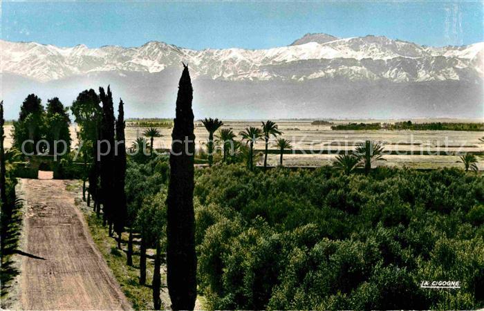 Marrakech Marrakesch Atlas vu de la Menara Atlasgebirge