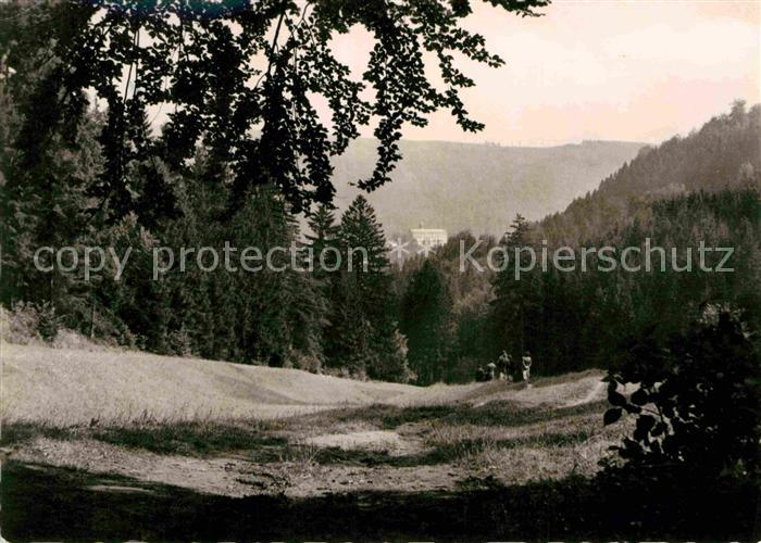 Schwarzburg Thueringer Wald Panorama Blick zum Schloss