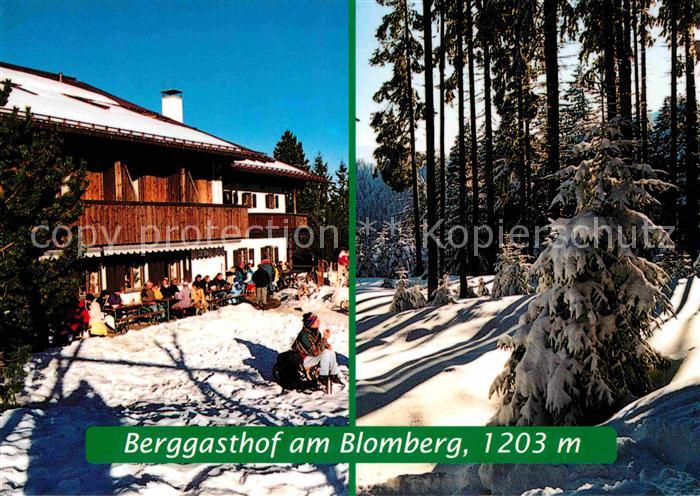 Bad Toelz Berggasthof am Blomberg Waldpartie Winterlandschaft