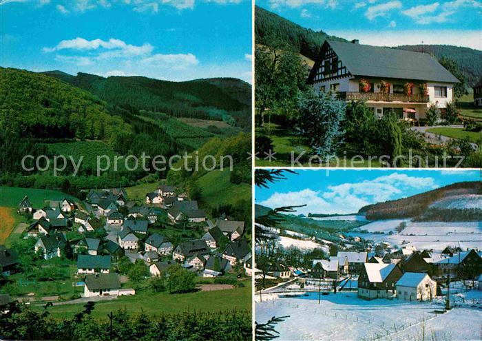 Milchenbach Ferienhaus Ferienwohnungen Sommer und Winterpanorama