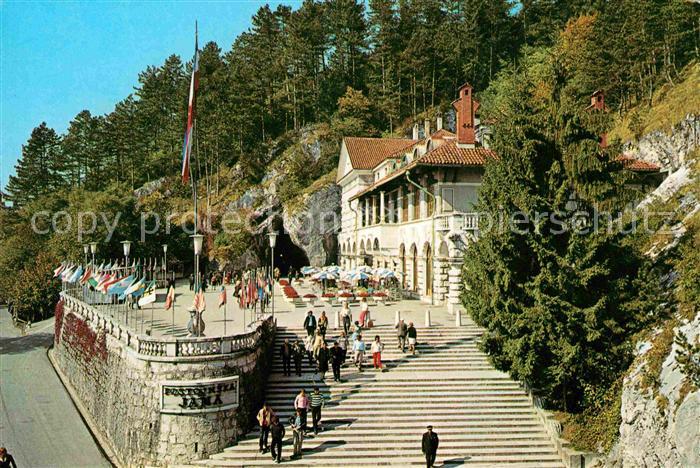 Postojnska Jama Grotte Cave