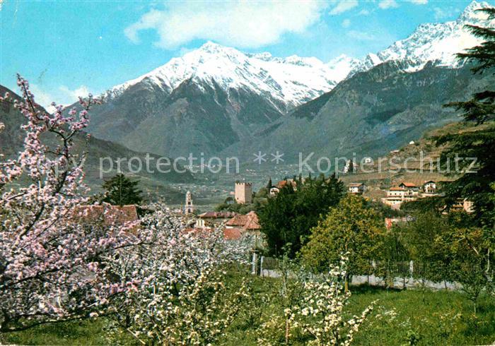Merano Meran im Fruehling