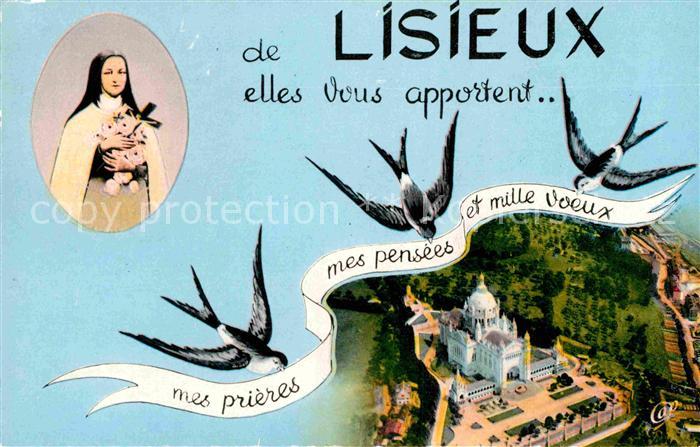 Lisieux Schwalbe Schloss