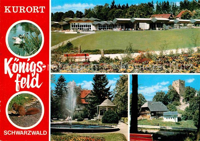 Koenigsfeld Schwarzwald Schwanenteich Brunnen Ruine