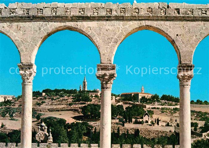 Jerusalem Yerushalayim Temple Area Olives