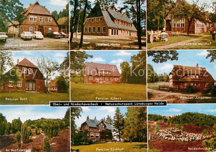 Niederhaverbeck Pension Albers Jungemann Heidschnucken Eickhof