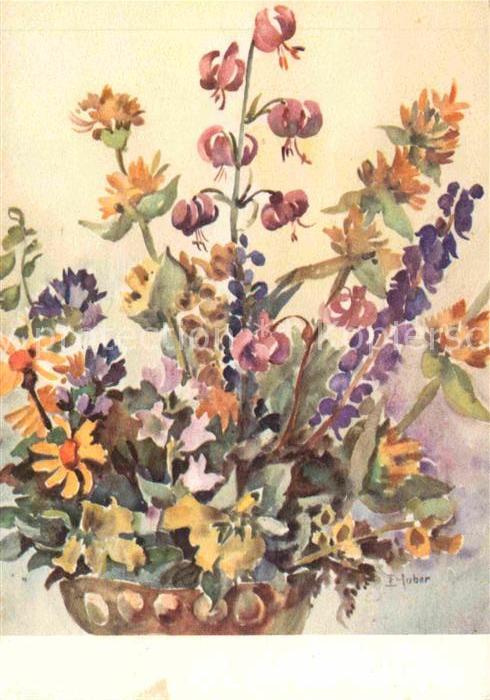Kuenstlerkarte E. Huber Alpenblumen