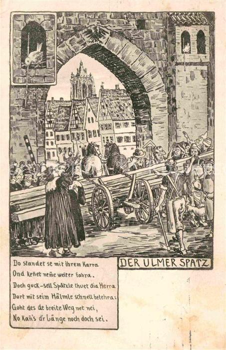 Ulm Donau Der Ulmer Spatz