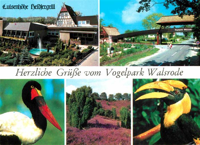 Walsrode Lueneburger Heide Vogelpark Luisenhoehe Heidjergrill