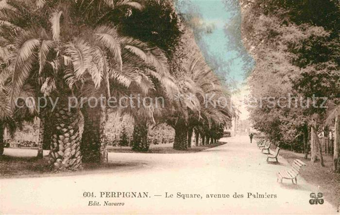 Perpignan Le Square Avenue des Palmiers