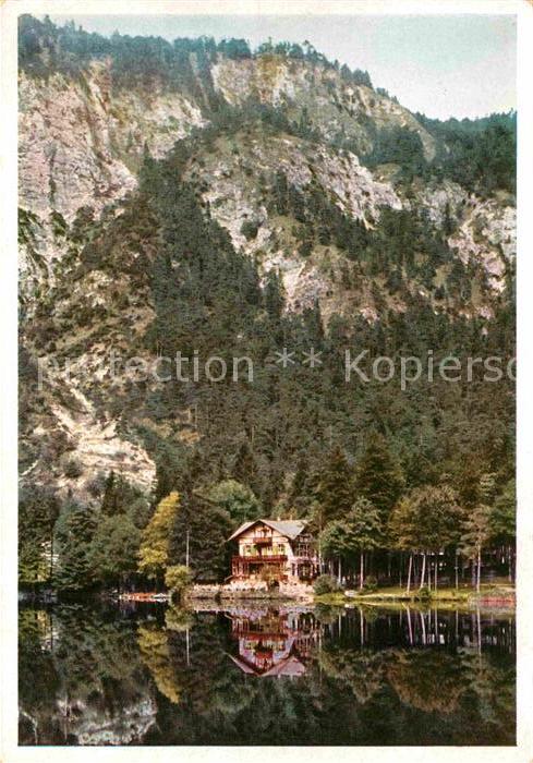 Bad Reichenhall See Restauration Cafe Thumsee Berchtesgadener Alpen