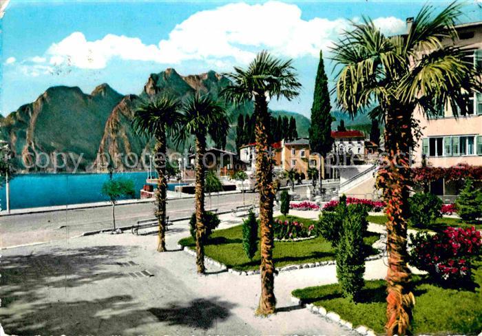 Torbole Lago di Garda Uferpromenade Gardasee Palmen