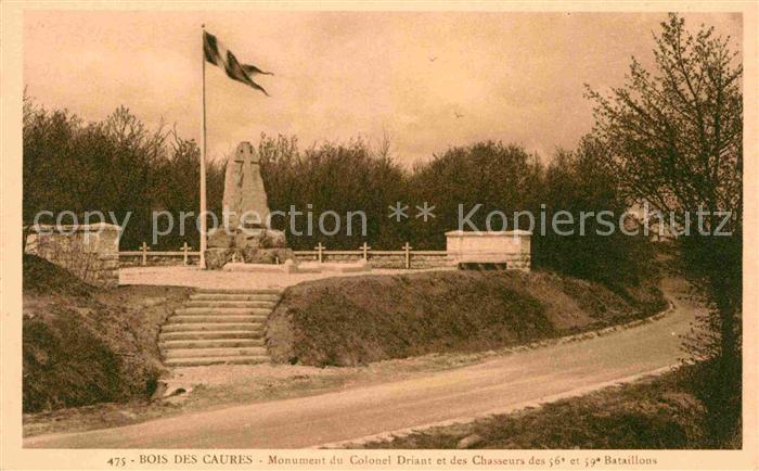 Bois des Caures Le Monument du Colonel Driant et des Chasseurs des 56e et 59e Ba