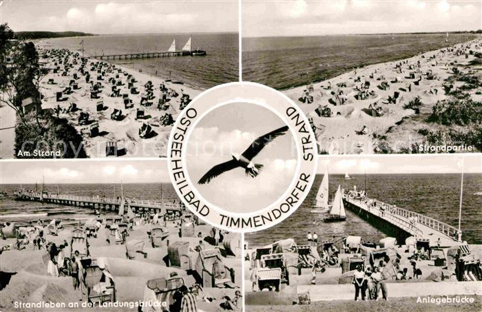 Timmendorfer Strand Strand Anlegebruecke Moewe