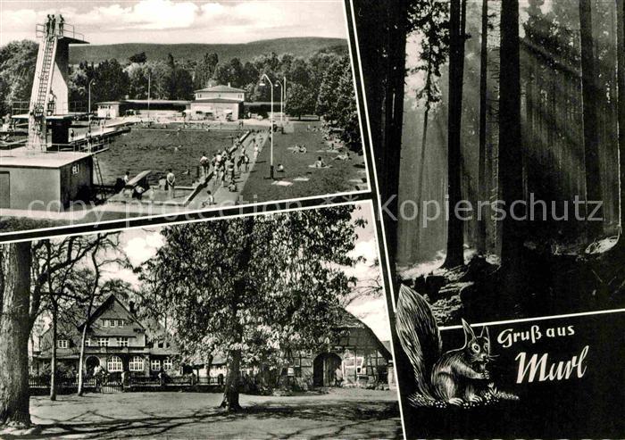 Marl Westfalen Schwimmbad Waldpartie Eichhoernchen